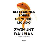 Reflexiones Sobre Un Mundo Liquido