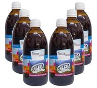 Refresco Concentrado de Hierbas Termo Serrano Bio 500ml | Celebridade Galega | Bebida Ecológica de Hierbas | Vegana y Natural (Pack x6)