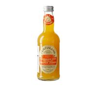 Refrescos y Mixers Caja de 12 unidades Fentimans Mandarin & Seville Orange Jigger Botellín 27 cl