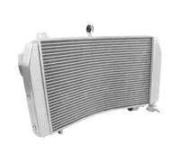 refrigeración del Motor Compatible con YZFR1 para YZF-R1M para YZF-R1S 2015 2016 2017 2018 2019 Enfriador De Motocicleta Refrigerante Radiador Tanque De Agua del Motor(Silver)