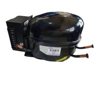 Refrigeración QDZH25G R134a DC 12v Compresor 163 Vatios Inversor Dual AC Compresor De Refrigerador Piezas De Refrigerador