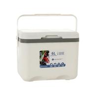 Refrigerador de alimentos - Refrigerador portátil pequeño | Refrigerador portátil pequeño de 6 litros, refrigeradores de vehículos de coche, conservación de alimentos, enfriador de congelador para