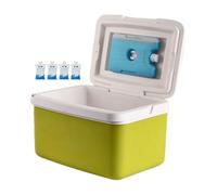 Refrigerador portátil rígido para picnic | capacidad 15L para bebidas y alimentos, ideal camping picnic playa barbacoa