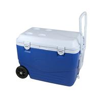 Refrigerador rígido 46 litros, 60,5 x 35,5 x 41,5 cm, Azul/Blanco