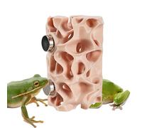 Refugio para arañas - Refugio magnético para reptiles, cueva de gecko | para terrario, salto, araña, escalada, mascotas, ranas, geckos, anfibios