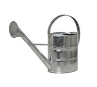 Regadera 10l Plata Jarro Regadera de Flores y Plantas el Riego de Jardín Nuevo