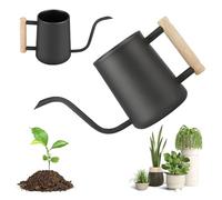Regadera de 1 litro, 35 oz para plantas de interior: LEKEFETO Regadera pequeña de acero inoxidable con cómodo mango de madera y pico largo y fino, regadera interior para plantas de interior, bonsái