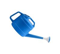 Regadera de 10 litros, color antracita para casa y jardín, de plástico resistente, regadera de jardín con ducha extraíble, para fácil riego de flores, plantas de interior de plástico