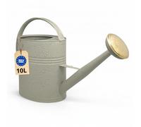 Regadera de 10l, regadera de metal para jardín y balcón, regadera de alta calidad de 10 litros en metal galvanizado, regadera con aspersor desmontable, regadera retro con aspersor de latón, regadera