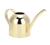 Regadera de acero inoxidable de 500 ml para plantas de interior y exterior (dorado)