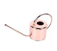 Regadera de acero inoxidable de gran capacidad, estilo retro, con boquilla larga y ca?o peque?o, ideal