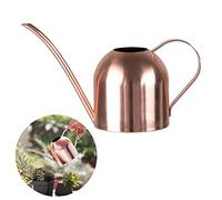 Regadera de acero inoxidable, maceta pequeña de boca larga para casa, interior, exterior, jardín, plantas suculentas, 500 ml (oro rosa)