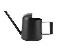 Regadera de Acero Inoxidable Negro de 300 ml, Maceta para regar Plantas en Interiores y Exteriores con Pico Largo, regadera Mini con Mango ergonómico para suculentas y Plantas en