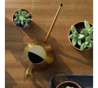 Regadera de acero inoxidable para interiores y exteriores con una boquilla larga para un riego preciso de raíces (oro de 900 ml)