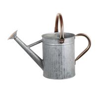 Regadera de Acero Inoxidable, regadera de Metal de 1, 3 galones/5 l con Boquilla extraíble y 2 Asas para Plantas de Exterior e Interior, Plateada