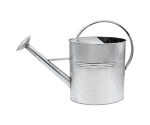 Regadera de jardín galvanizado 10 L, interior y exterior, metal con cabezal de ducha desmontable, zinc nostálgico resistente a las inclemencias del tiempo