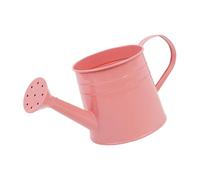 Regadera de metal, para plantas interiores y exteriores, regadera galvanizada, regadera de 1 litro para decoración del hogar y jardinería (rosa)