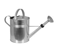 Regadera Floyd (Metal, 6,5 l)