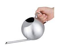 Regadera Interior Acero Inoxidable Cepillado Acabado Diseño Regadera Pequeña Plantar Alambiques Modernos Bonsai Plantas sobre La Mesa Eoficina O Jardín