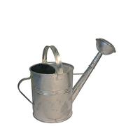 Regadera Metálica 5 litros, galvanizado