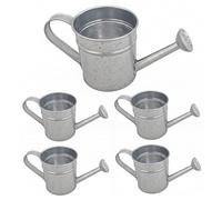 Regadera para niños, Paquete de 5 Mini regaderas, Metal pequeño para Plantas de Interior, regadera de Hierro galvanizado para jardinería Infantil, suculentas, bonsái, Plateado