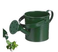 Regadera para plantas | Regadera decorativa con mango cómodo, regadera galvanizada para plantas, para patio, patio, amigos, vecinos, jardineros mayores y niños