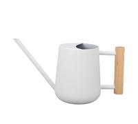 Regadera pequeña para plantas de interior, regadera de acero inoxidable con pico largo y mango de madera, mini regadera para flores de jardín para plantas de interior y uso al aire (Blanca)