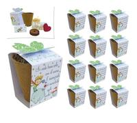 Regalami. Shop12 - Bomboneras completas ecológicas con kit de flores de El Principito - Juego de 12 unidades para bomboneras de nacimiento, bautizo o comunión