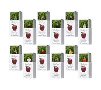 Regalo de Agradecimiento para Maestros - Rellenos de Fruta de Plastilina para | Detalle para Maestros en Acción de Gracias | para Graduación, Aula, Estudiantes, Niños, Adolescentes, Cumpleaños