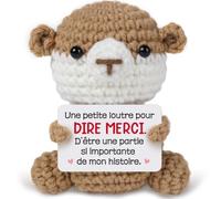 Regalo de agradecimiento para mujer - Deco nutria de ganchillo con | Regalo Colega de Trabajo, Amiga, Amanta, ATSEM | Regalo de Cumpleaños y Navidad | Gracias por todo
