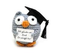 Regalo de graduación Muñeca de búho de punto, examen de amuleto de la suerte, búho de bolsillo, regalo de examen aprobado, creo en ti, ¡Creo en ti! Búho positivo alemán