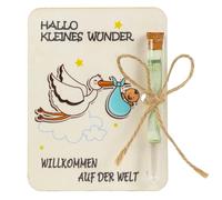 Regalo de nacimiento para niño, Seutgjie Baby Gift Niño Niña para recién horneado con tubo de ensayo para dinero