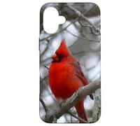 Regalo Inspirador Heaven Sends Birds A Sign Cardinal Carcasa para iPhone 16 Plus