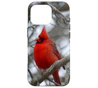 Regalo Inspirador Heaven Sends Birds A Sign Cardinal Carcasa para iPhone 16 Pro