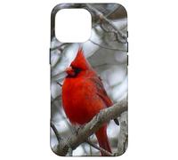 Regalo Inspirador Heaven Sends Birds A Sign Cardinal Carcasa para iPhone 16 Pro MAX