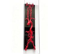 Regalo médico, modelo anatómico vascular de la arteria toracoabdominal craneocervical impreso en 3D, modelo de anatomía de los vasos sanguíneos humanos con marco de exhibición acrílico