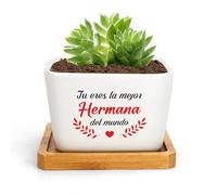 Regalo Navidad Hermana Cumpleaños Regalo Para Mi Hermana Regalo Para Hermana Macetas Decorativas Interior Regalo Para Una Hermana Regalo Original Hermana