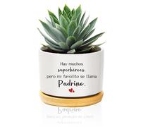 Regalo Padrino CumpleañOs Regalo Padrinos Bautizo Regalos Originales Bautizos Macetas Decorativas Interior Regalos Originales Para Padrino Hombre Padrinos Maceta Ceramica Vaso Planta Macetero Blanco