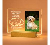 Regalos conmemorativos personalizados para mascotas por la pérdida de perro o gato, luz nocturna grabada personalizada con marco de fotos, placa de condolencias para dueños de mascotas en duelo, honra
