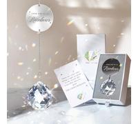 Regalos conmemorativos por la pérdida de un ser querido, idea de regalo única de condolencias, bola de cristal transparente, atrapasueños arcoíris, caja de duelo por pérdida de mascotas, perro, mamá,