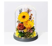 Regalos de cumpleaños para mujer, flores preservadas en cúpula de cristal, flores para siempre para entrega, flores frescas coloridas, día de aniversario para su esposa (amarillo)