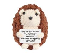 Regalos de ganchillo emocionales positivos, divertidos mini lindos hechos a mano con soporte emocional, animales de ganchillo positivos, erizo, regalos positivos para mujeres, profesores, compañeros