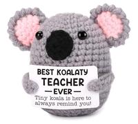 Regalos de Navidad para profesores, regalos de agradecimiento para profesores para mujeres y hombres a granel, Acción de Gracias, cumpleaños, jubilación, fin de año, para profesores, relleno de