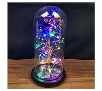 Regalos de rosas for mujeres, rosa de cristal, cúpula de cristal de flores artificiales, rosa en cúpula de cristal con luces de hadas, rosa con luz LED en cúpula de cristal, rojo+luces cálidas/688/695