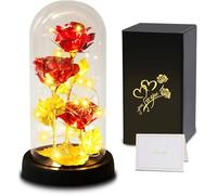 Regalos del Día de la Madre para Mamá, Regalos Para Mujeres,Rosa Eterna,Regalo de Rosa de Flores Artificiales para Mamá Esposa,Flor de Rosa en Cúpula de Cristal, Regalo para Cumpleaños Aniversario