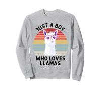 Regalos divertidos para amantes de las llamas Just A Boy Who Loves Llamas Sudadera
