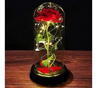 Regalos Originales para Mujer Kit de Rosas La Bella y La Bestia Regalo Cumpleaños Mujer Rosa Eterna Elegante Cúpula de Cristal con Luces LED Regalo Cumpleaños Madre Amiga Novia Aniversario Navidad