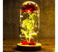 Regalos Originales para Mujer Rosa Eterna Regalo Cumpleaños Mujer Rosa Bella y Bestia con Luz LED en Cúpula de Cristal Regalos Amigas Originales Madre Novia Abuela Pareja Mama Aniversario Boda Navidad