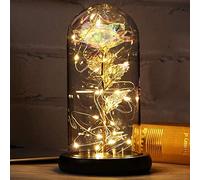 Regalos Originales para Mujer Rosa Eterna Regalo Dia de la Madre Rosa Bella y Bestia con Luz LED en Cúpula Cristal Regalos Amigas Originales Regalo Madre Abuela Novia Suegra Cumpleaños Aniversario