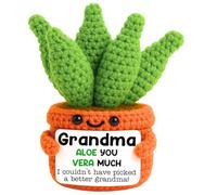 Regalos para abuela, día de la madre, abuela, ganchillo, aloe, apoyo emocional, estimulante, ganchillo, mini hecho a mano, regalos de cumpleaños para abuela, Nana Gigi Mimi de nieta nietos